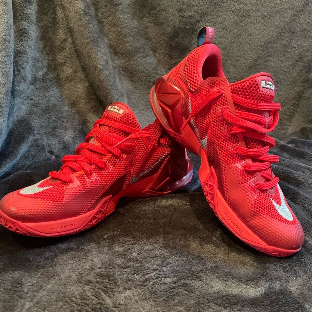 Nike Lebron 12 Low Basketball shoes